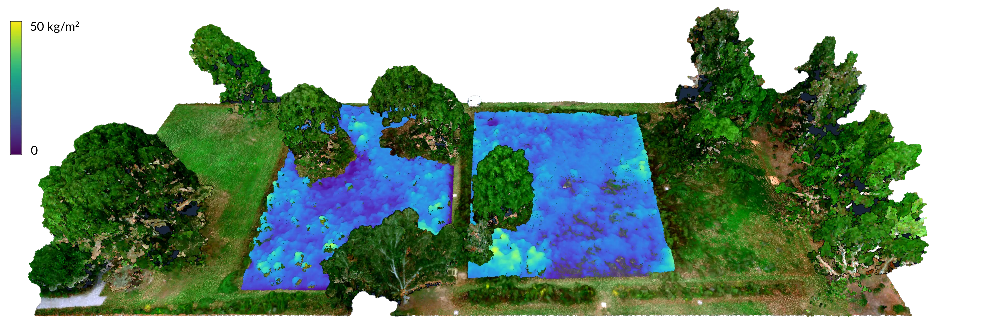 Hilltop Arboretum