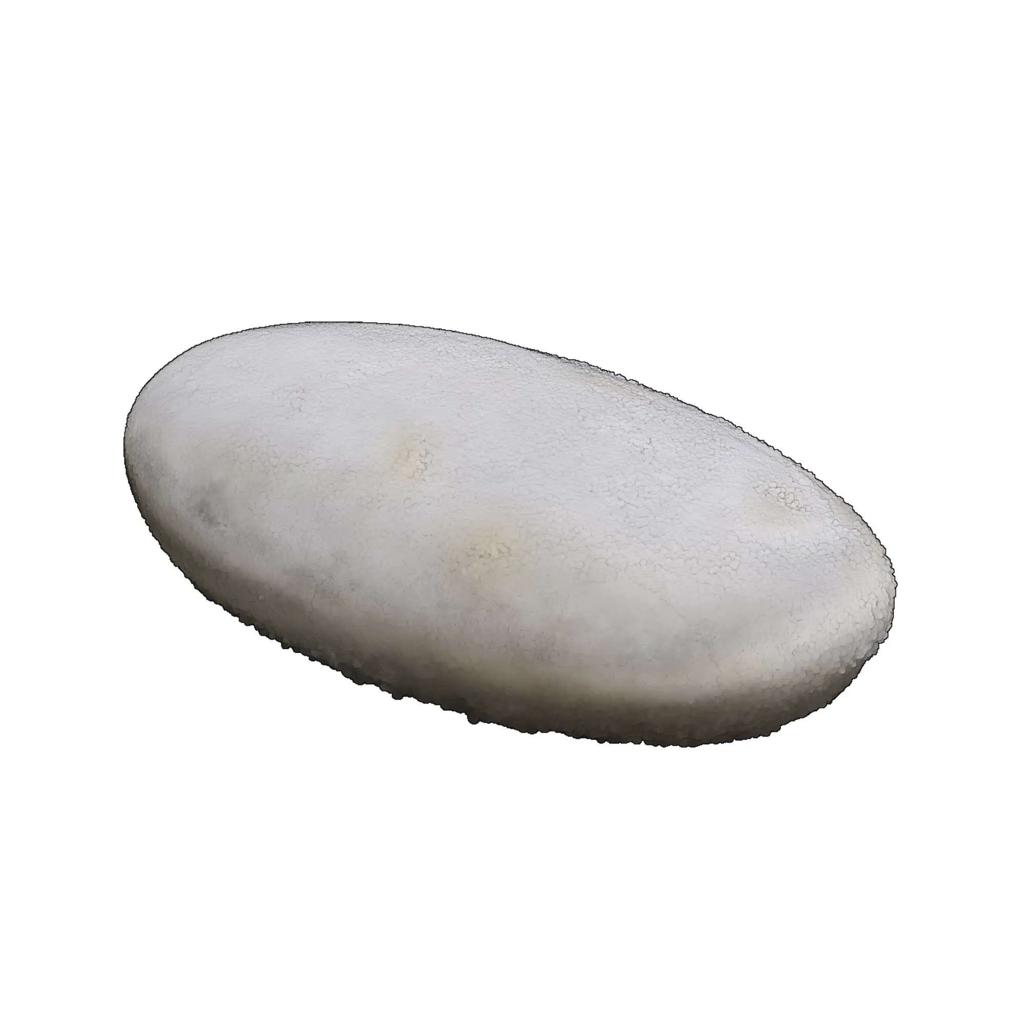 Pebble